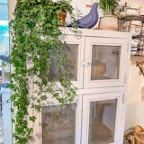 Wardrobe keeps eating