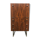 Meurop cabinet vintage by Pierre Guariche