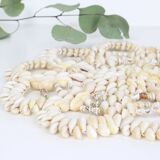 Shell trivet, vintage