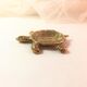 Figurine turtle gilded brass protective symbol
