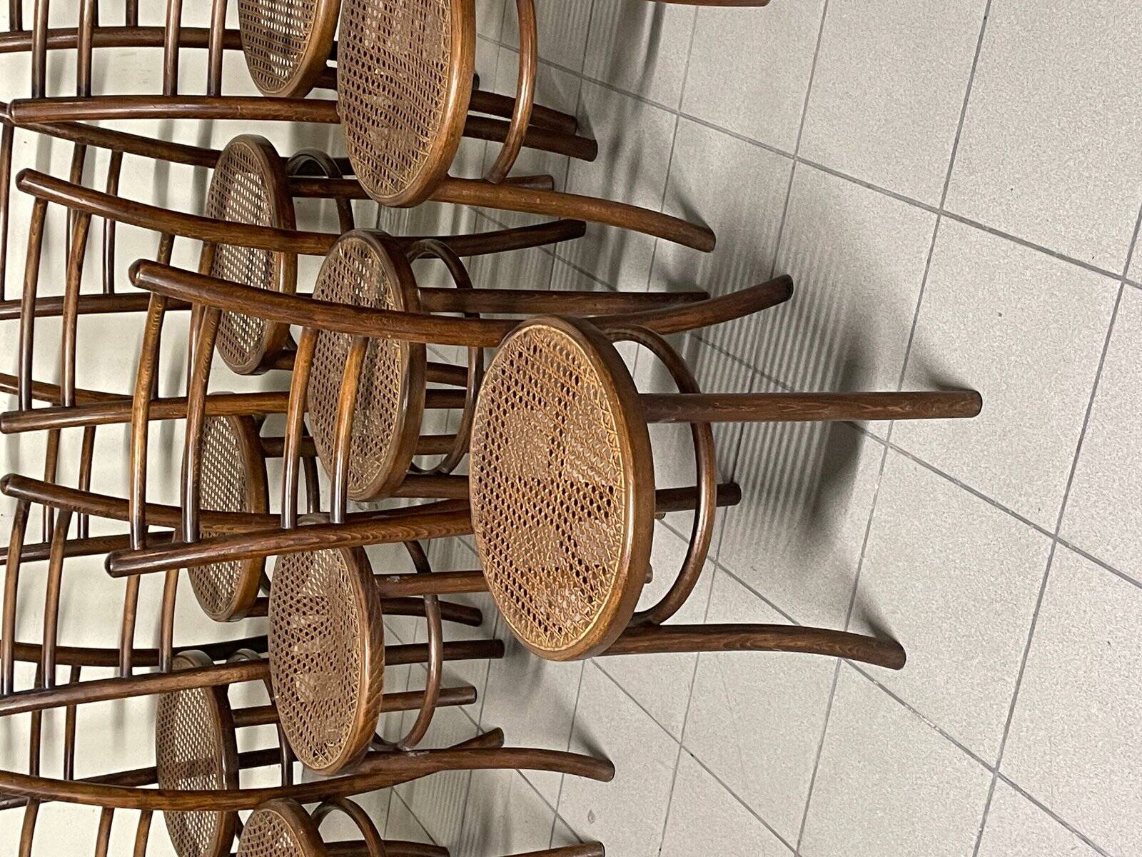 Chaises, Italie, fin XIXe siècle, lot de 11
