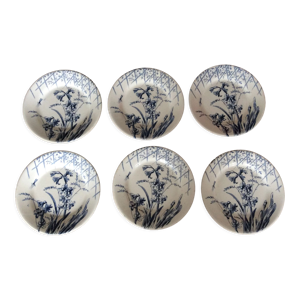 6 assiettes plates Terre