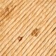 Beech dining chair, Set of 5