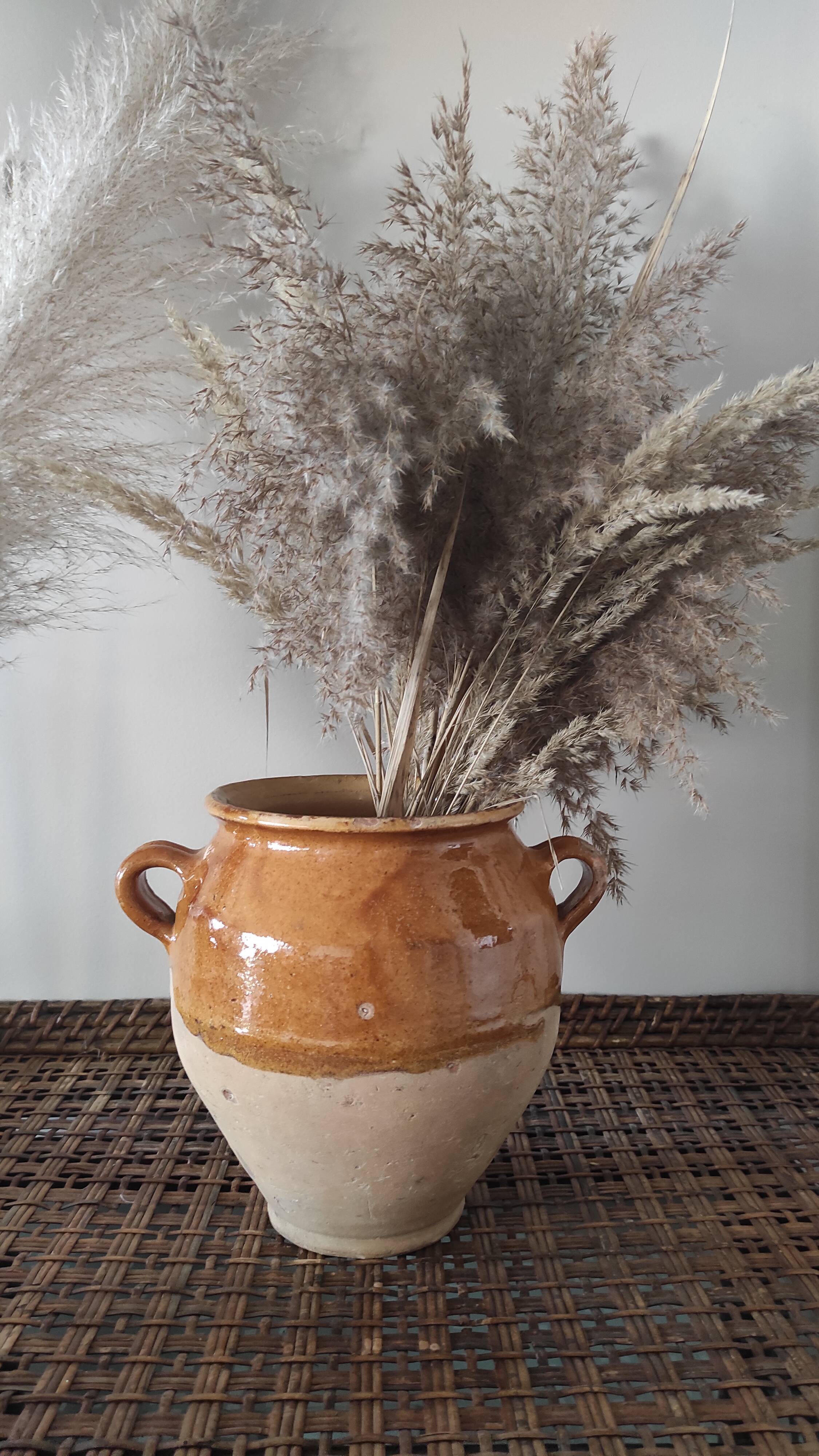 Yellow stoneware confit pot