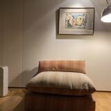 Fauteuils Roche Bobois