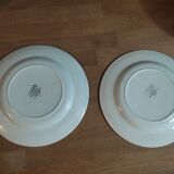 Flat plates Digoin Jacquot flowers