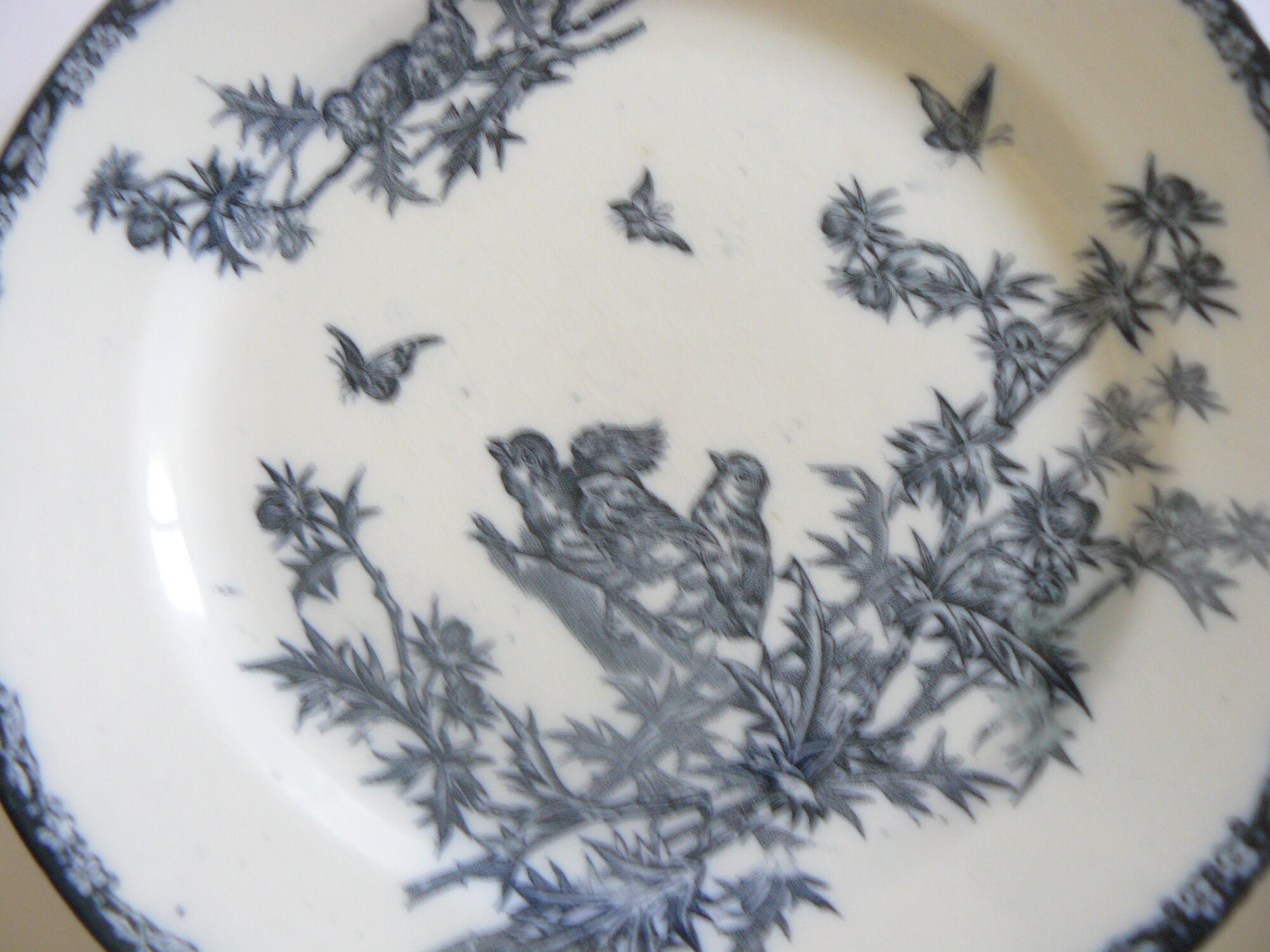 Lot of 4 plates flat land of iron Lunéville model chick
