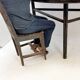 Pair of Chinese demi-lune consoles - Central table and folding chair