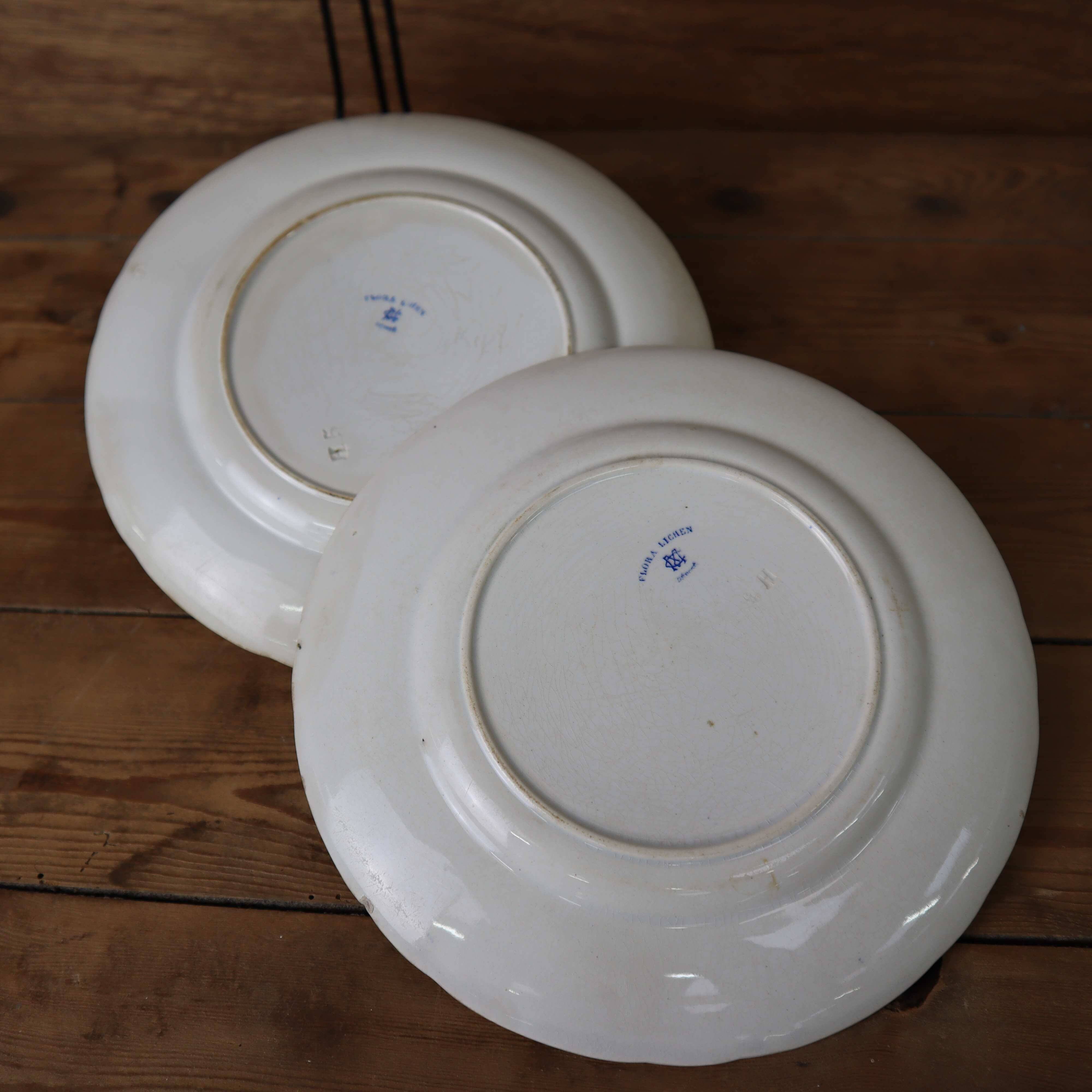 2 assiettes à dessert Terre de Fer modèle "Flora" Creil Montereau