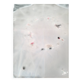 Round embroidered tablecloth