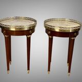 Pair of old pedestals stamped " h.j.l.rossenu " in mahogany over marble