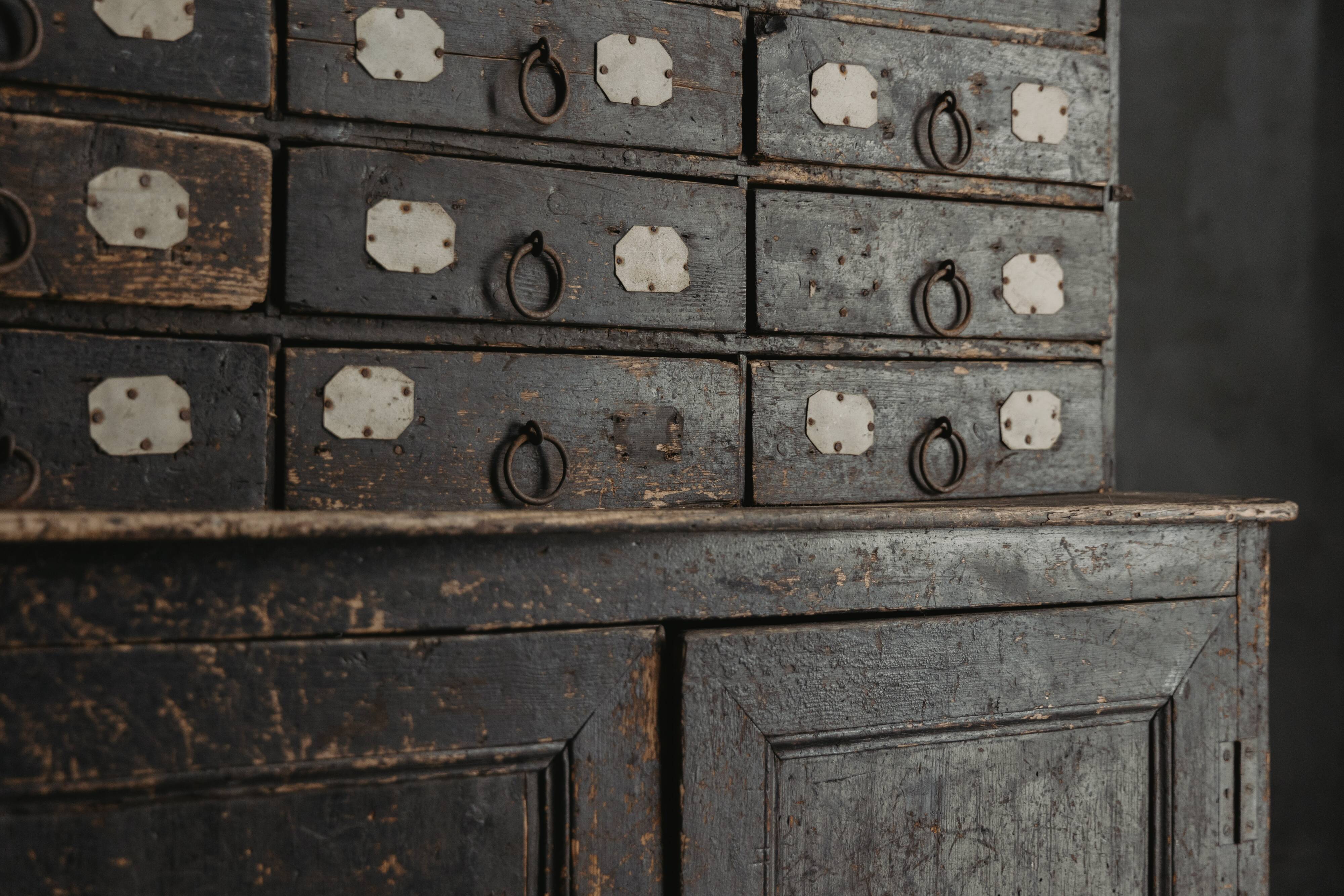 Travail Populaire Apothecary Cabinet, France, 19th Century