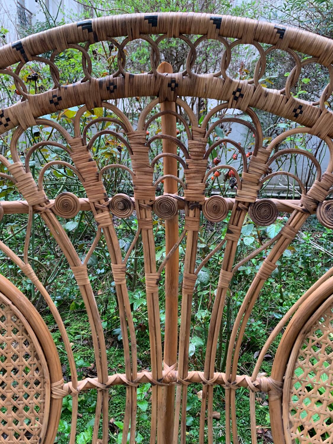 Peacock rattan armchair