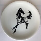 Salins collection plate