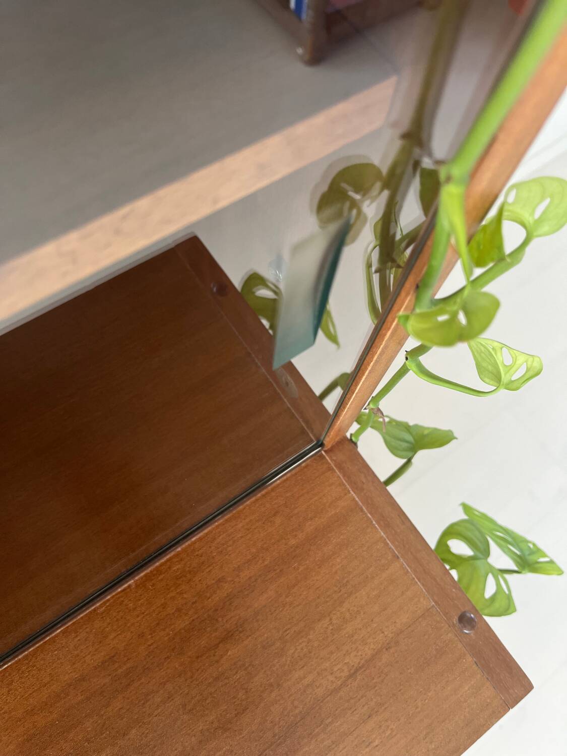 ARP display cabinet by Mortier Motte and Guariche