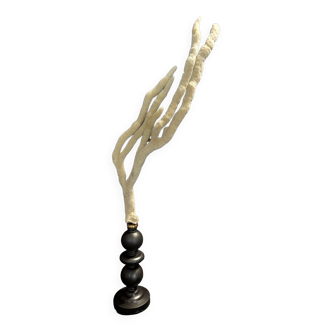 Cabinet of Curiosities sponge spongilla lacustris on pedestal
