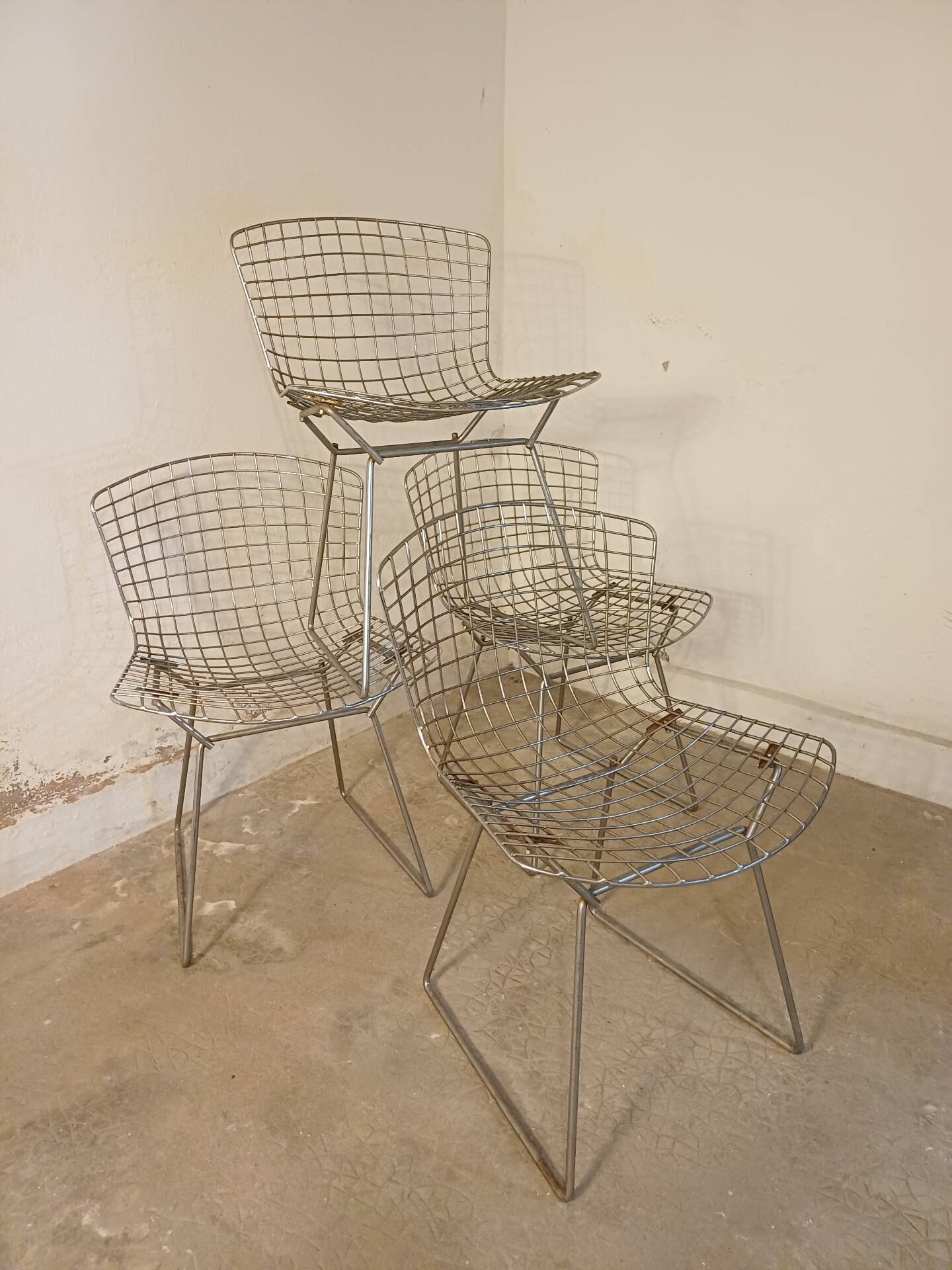 Série de 4 chaises Harry Bertoia