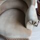 Brown toad chair