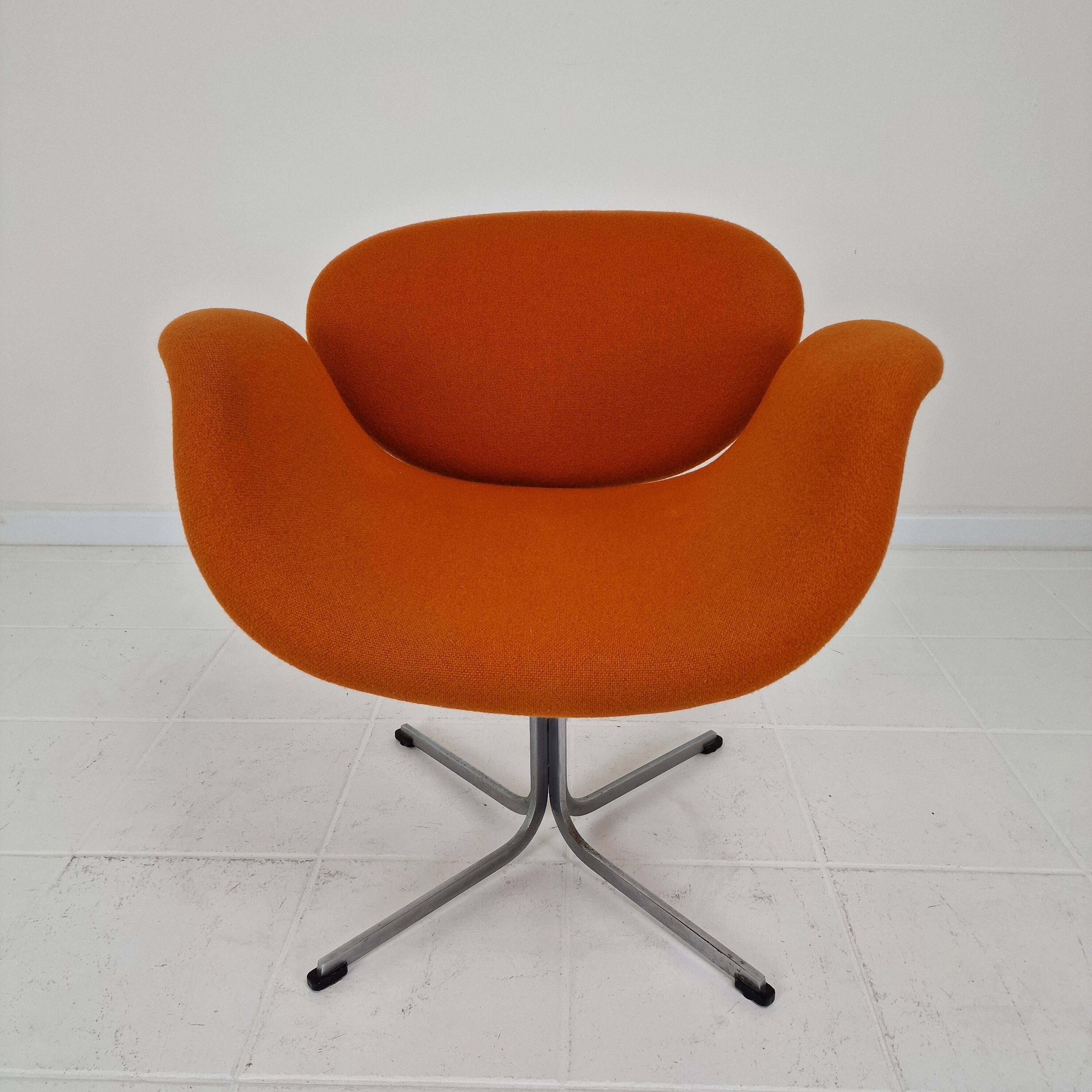 "Little Tulip" Armchair by Pierre Paulin for Artifort, 1970s