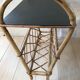 Rattan review door