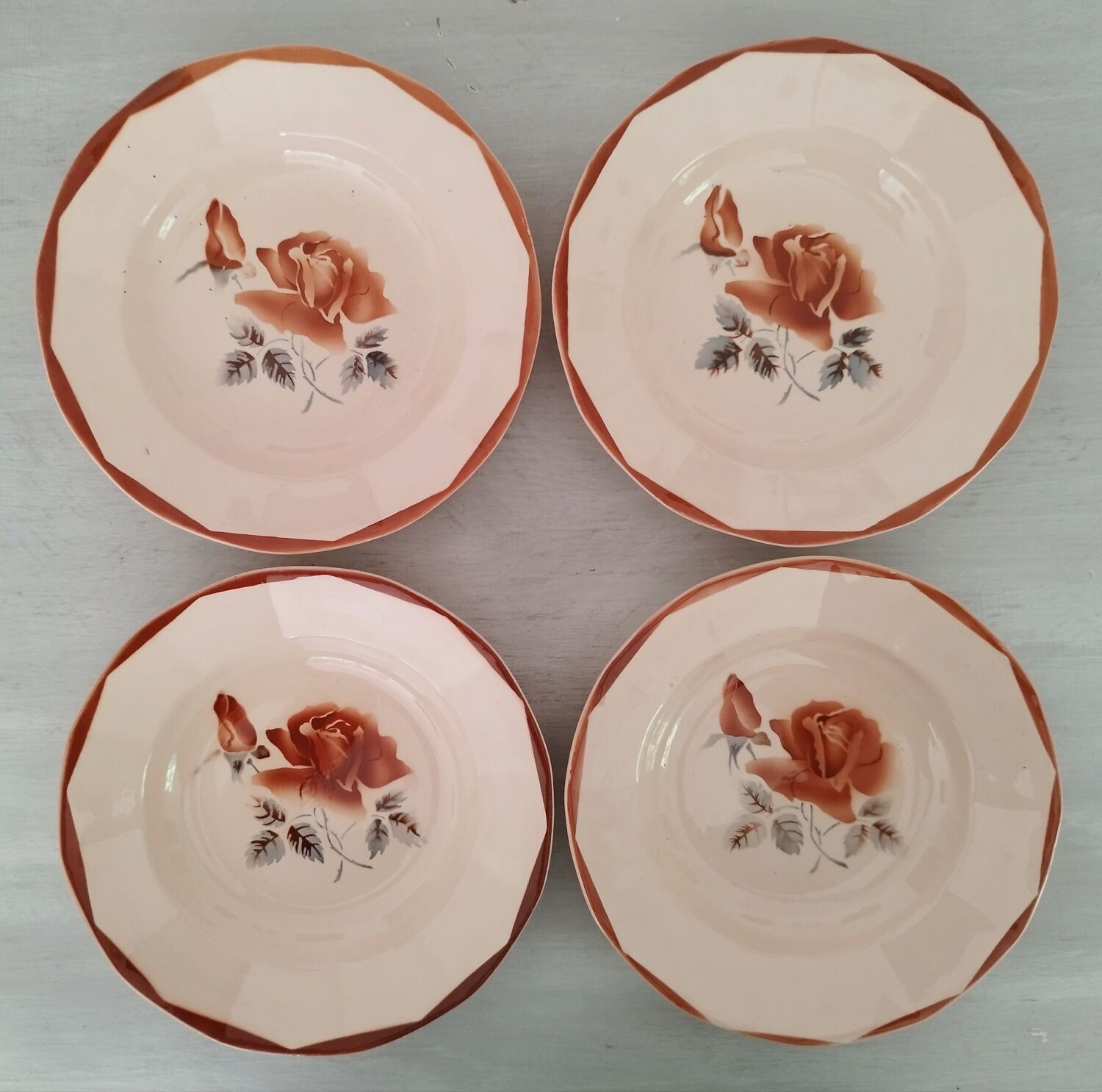 Hollow plates old earthenware Digoin Sarreguemines numbered vintage