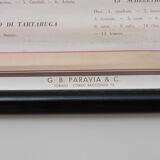 Vintage educational chart