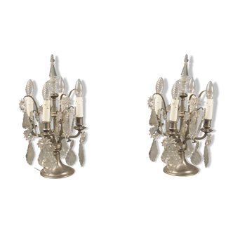 Pair of Louis XV style crystal lamps