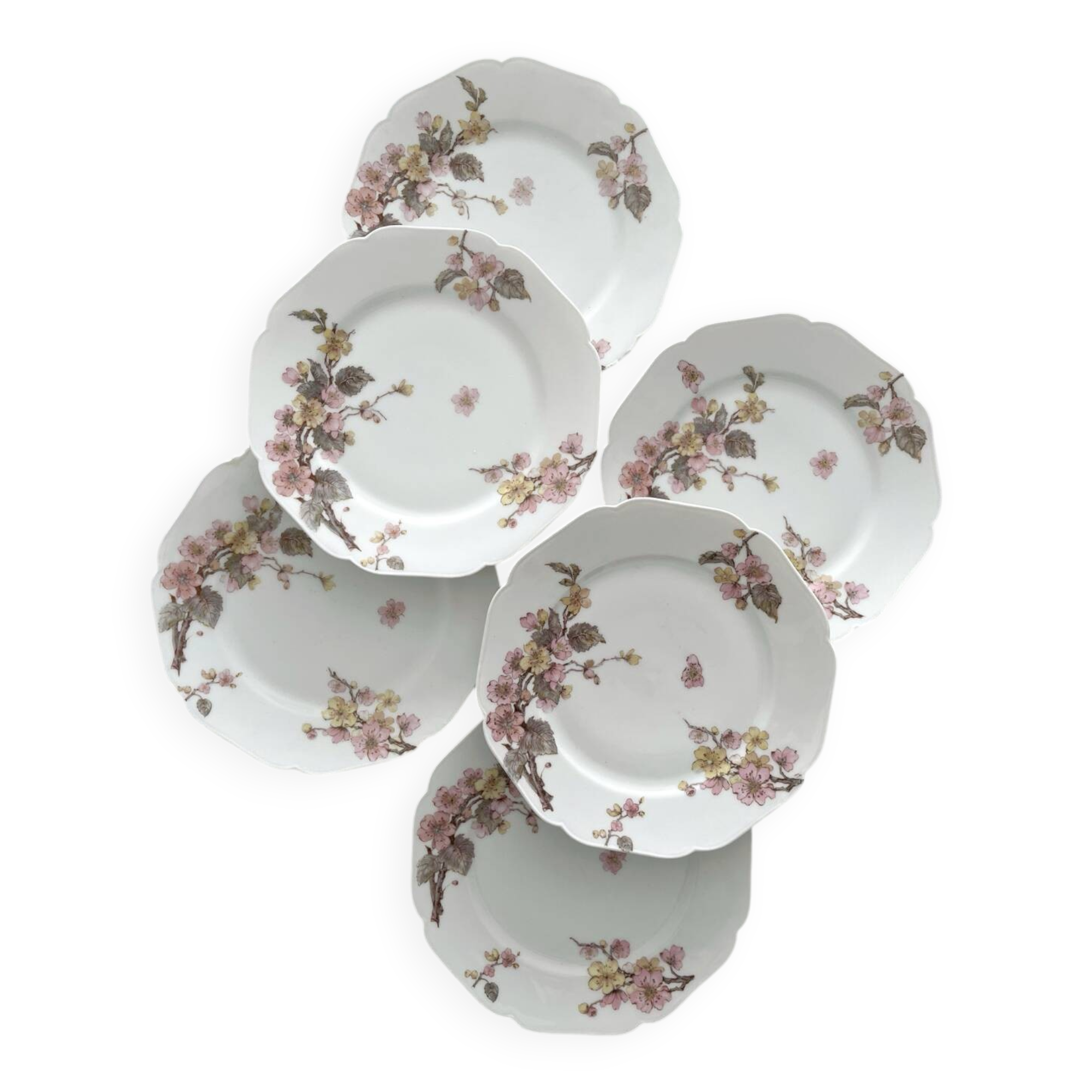 6 antique dessert plates in Limoges porcelain by Haviland & Co.