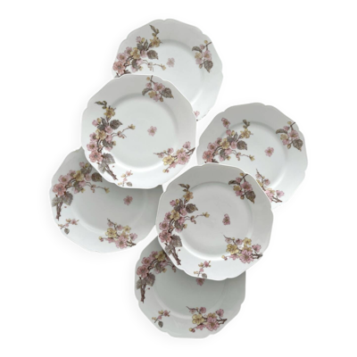 6 assiettes à dessert anciennes en porcelaine de Limoges Haviland & Co