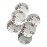 6 antique dessert plates in Limoges porcelain by Haviland & Co.