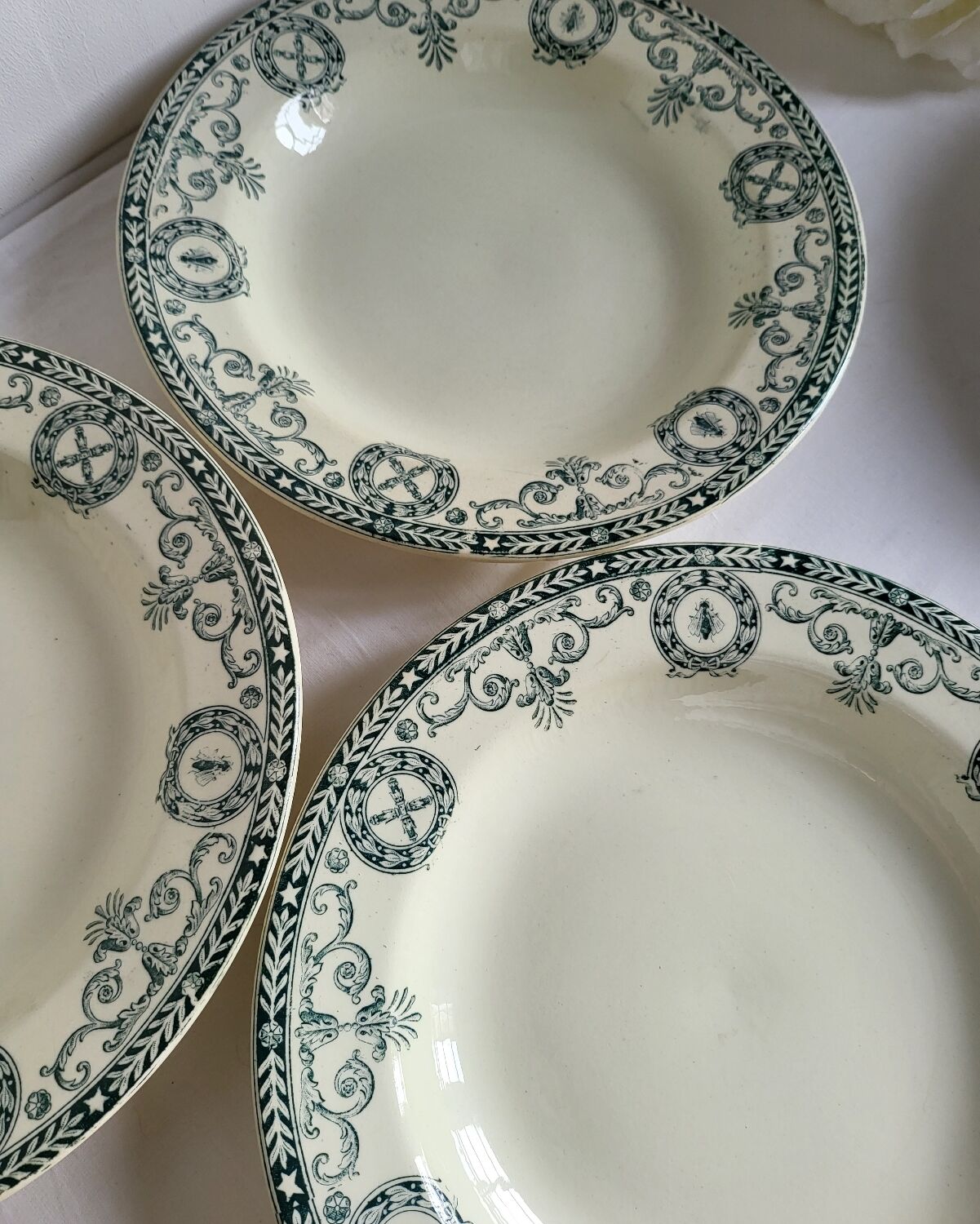 11 Deep Plates Ironstone Salins Cambacérès Decor