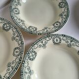 11 Deep Plates Ironstone Salins Cambacérès Decor