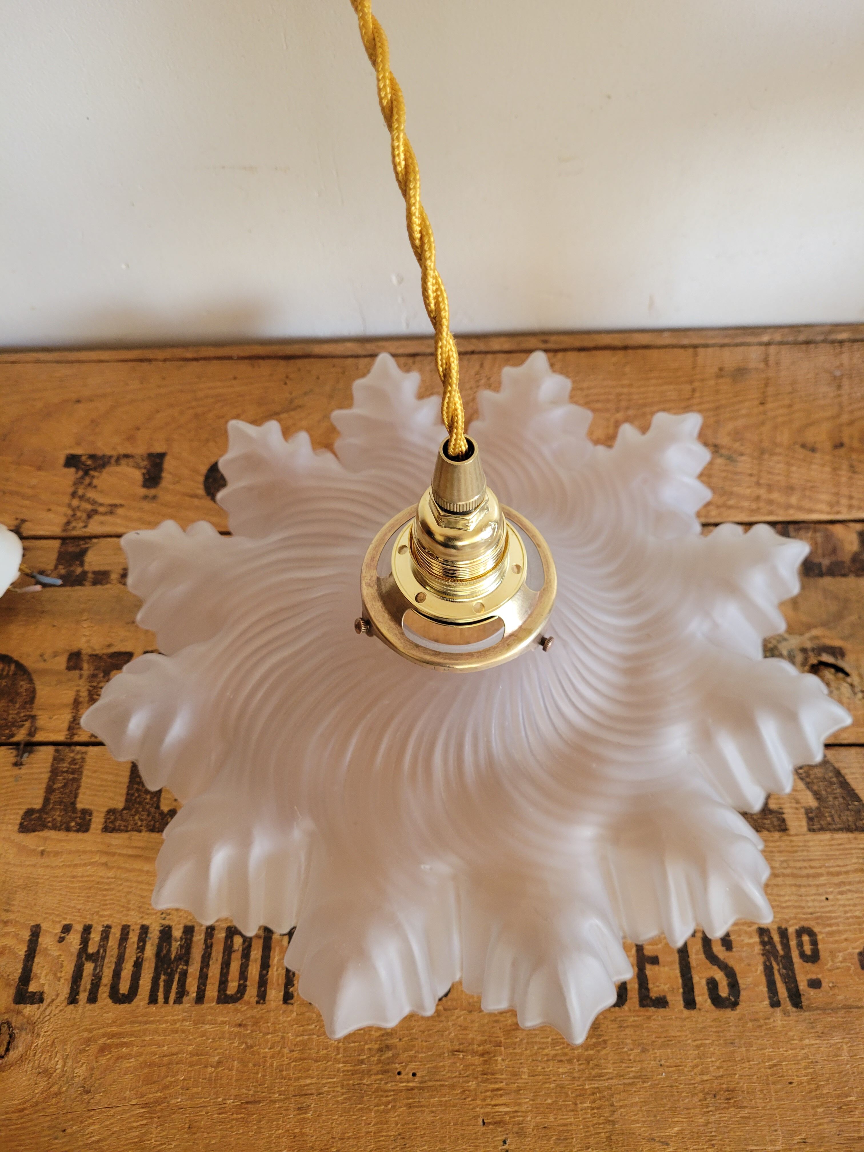 Opaline corolla suspension