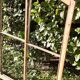 Window L156.2xH119 industrial curved metal glass roof frame