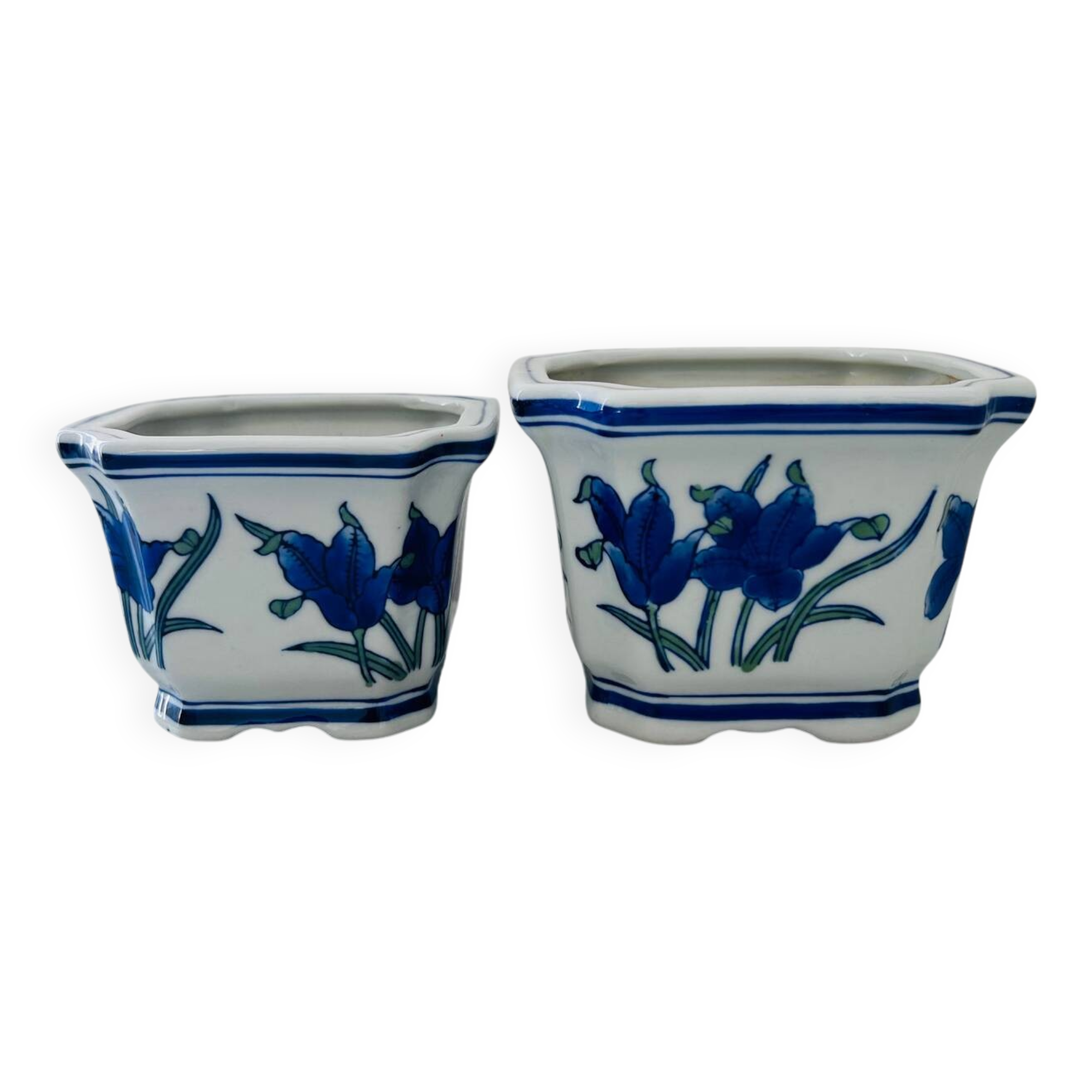 Duo of decorative plant pots with blue irises.