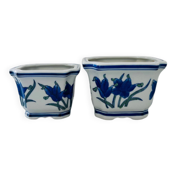 Duo of decorative plant pots with blue irises.