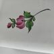 Antique KG Lunéville trivet – Hand-decorated floral design