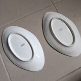 Saucer