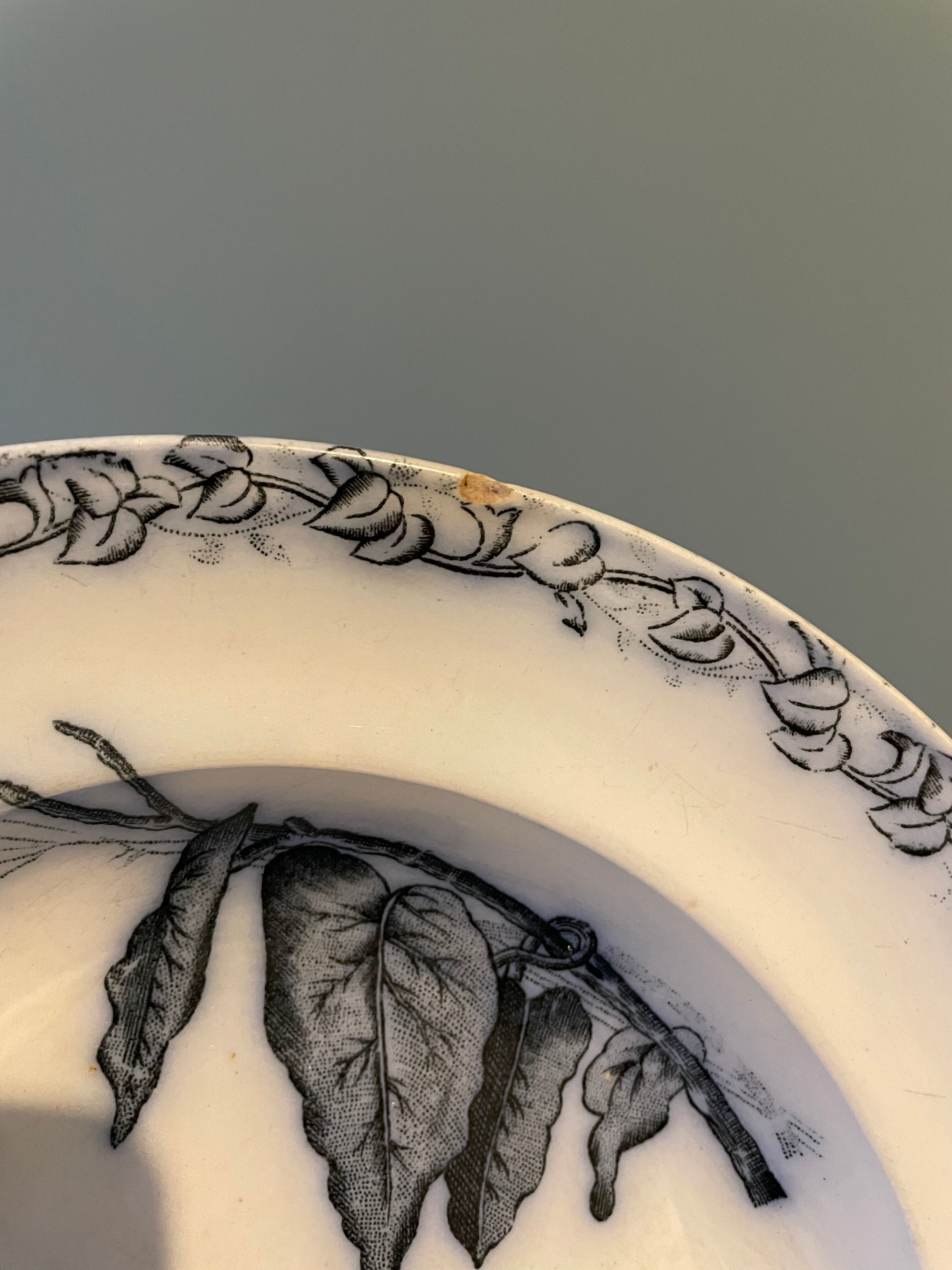 Set of 4 hollow plates Terre de Fer