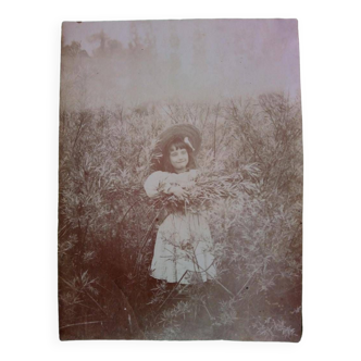 Photo ancienne à l'albumine - Jeune fille aux champs - France - Fin du XIXe siècle