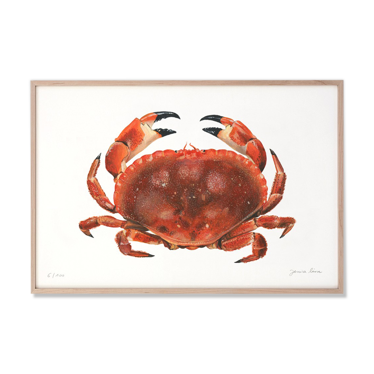 Billie, the crab, art print 20/30cm