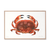 Billie, the crab, art print 20/30cm