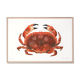Billie, the crab, art print 20/30cm