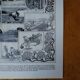 Lithographie originale sur les algues