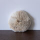 Corail fungia 14x12 cm