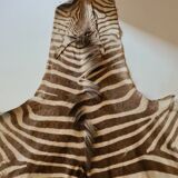 Zebra skin