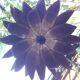 Copper foil luminaire 1970, palm style, Jansen style