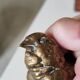 Bronze sparrow Comolera