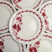 Set of 6 flat plates in ironstone Longwy – Viennese model – Red flowers