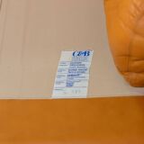 1970 Vintage Coronado Brown Leather Armchairs by Tobia Scarpa for C&B Italia